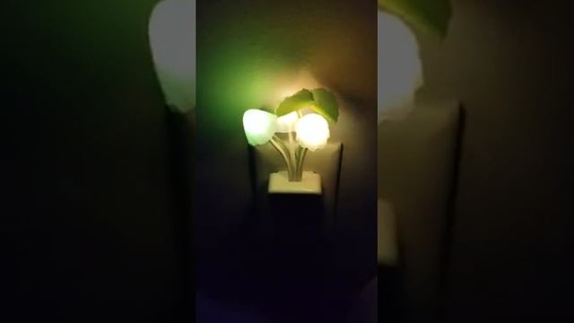 Mushroom Kids Night Light