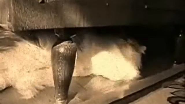 Кошачья колыбельная.wmv