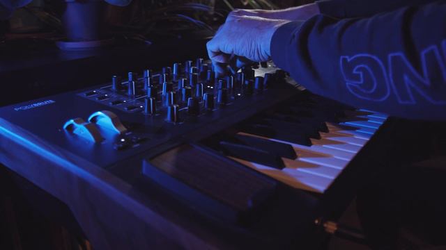 Arturia Polybrute #2  | Winterdagen