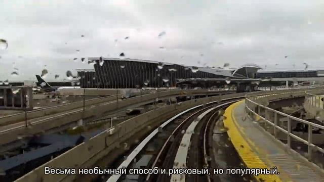 Все об аэропорте Сургут (SGC USRR) – онлайн табло прилетов и вылетов смотреть онлайн