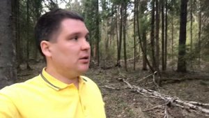 КАК РАСЧИСТИТЬ ЛЕС ? СОВЕТЫ ДЛЯ НАЧИНАЮЩИХ
