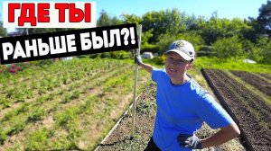 РАЗБИРАЮ СТАРЫЙ ДОМ ДО ОСНОВАНИЯ. ПОСЫЛКА ИЗ ГЕРМАНИИ.