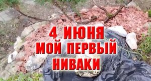 4 июня. Мой первый ниваки