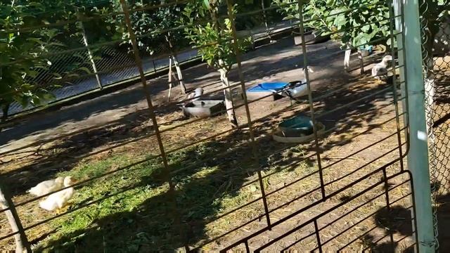 У нас сегодня выходной день-воскресенье. смотреть онлайн