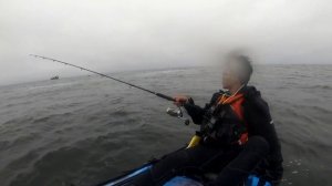 Kayak Fishing Collab with Moo Moo Outdoor's / The Lost Anchovy