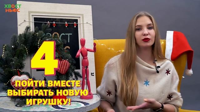 Чем заняться с питомцем на новогодних праздниках?