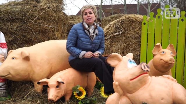 Фигуры Поросят ➔ Символы 2019 года★Hitsad.ru смотреть онлайн