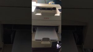 Xerox 3124