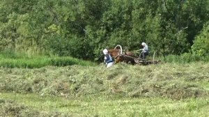 Лето 2017. Сенокос