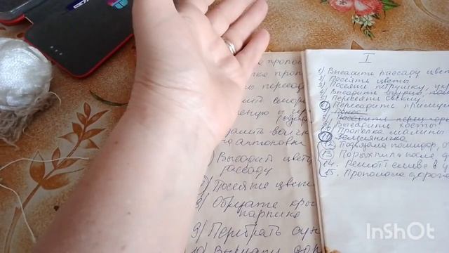 №446. Планы. Форсмажор. Результаты. Дачные разговоры.