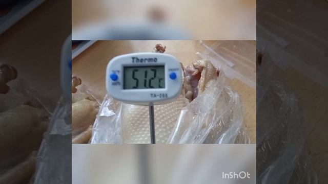 засол, прогрев тушек гусей перед копчением смотреть онлайн