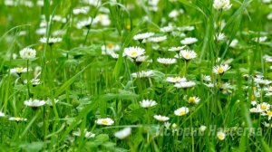 Узнав, что муж c лучшей подругой, жена решила их проучить и тогда…