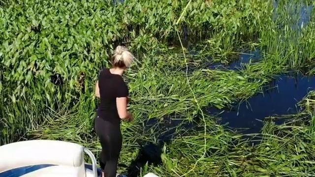 Weed Raker by WEED RAZER смотреть онлайн