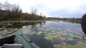#рыбалкавабхазии #рыбалка #щука  Щуки атакуют. Рыбалка в Абхазии на щуку. Осень 2020.