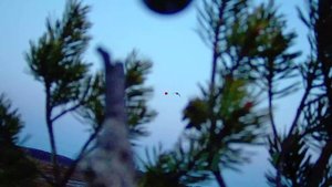 Точные выстрелы снятые на Шоткам #5 \ shotkam gen 4