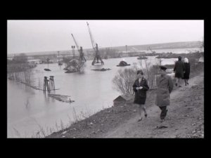 История мирной жизни Воронежской области в фотографиях ( Лискинский район) ( 1900 - 1997)