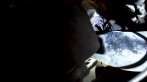 как снять стартер шкода супер б,и замена бендекса шкода суперб