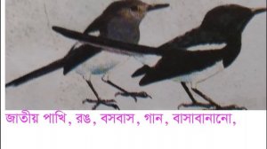 তৃতীয় শ্রেণি, বিষয বংলা,