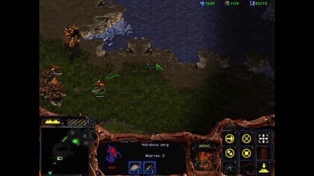 Starcraft - Campaña Insurrection (Zerg 1) смотреть онлайн