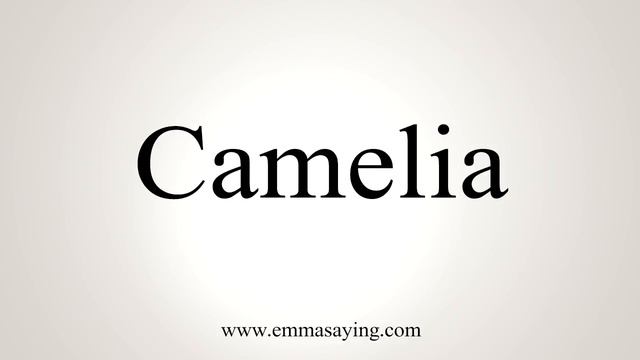 How To Say Camelia смотреть онлайн