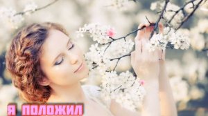 НЕЖНОСТЬ / Кукрыниксы