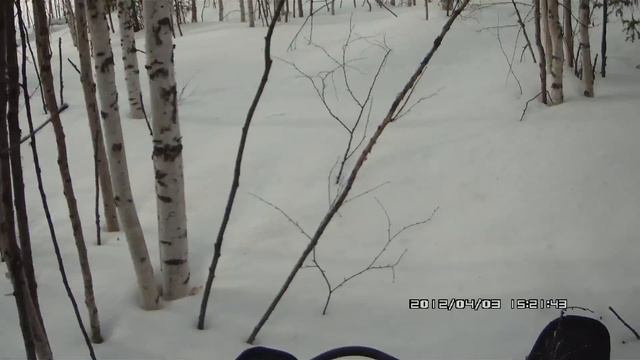 снегоход по березнику смотреть онлайн