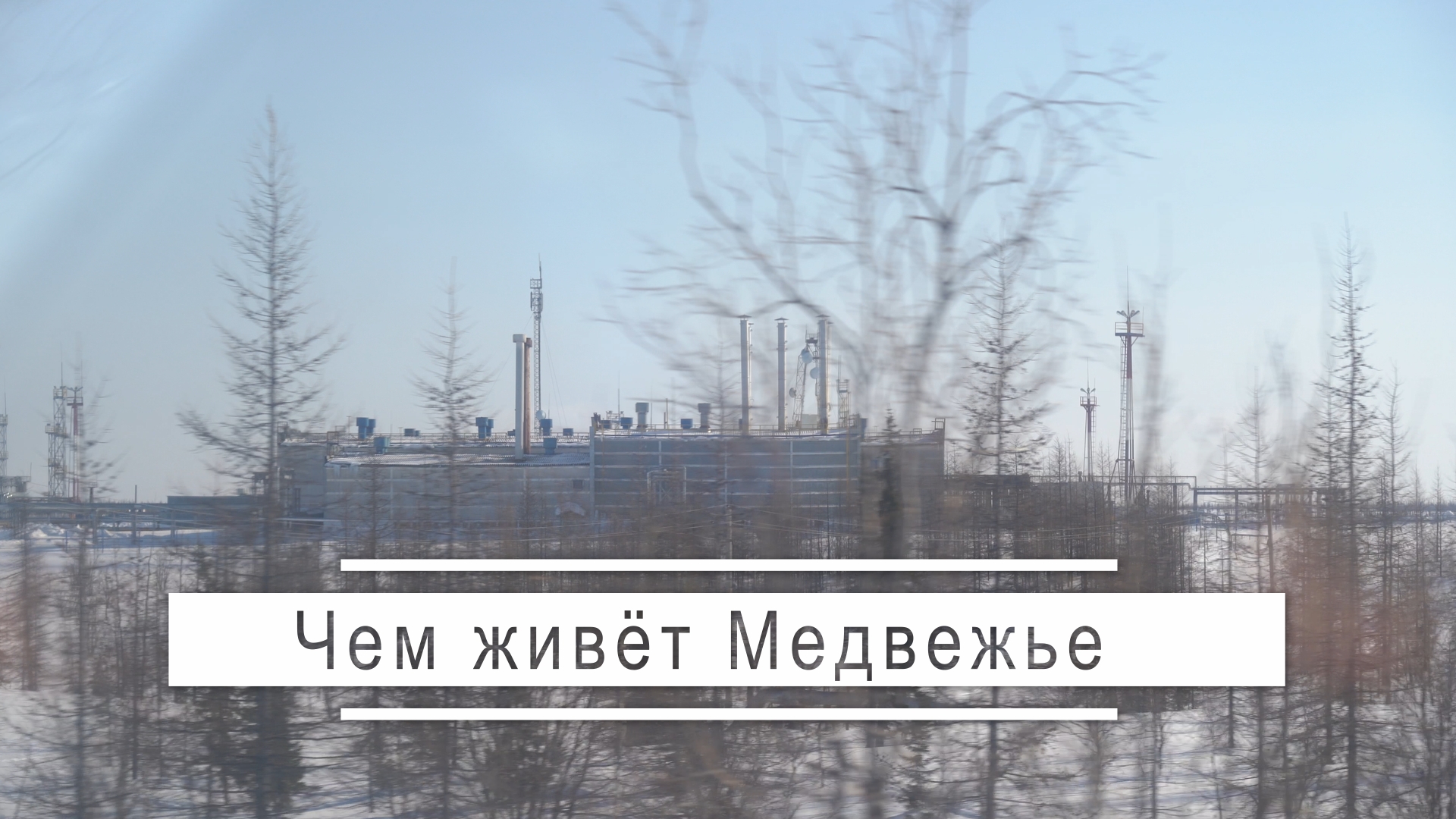 Чем живёт Медвежье
