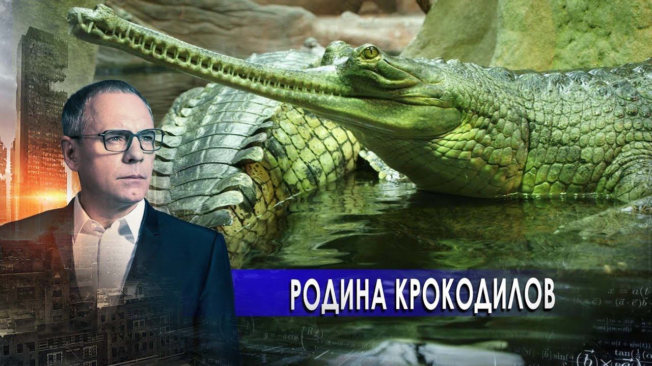 Россия - родина крокодилов. Самые шокирующие гипотезы с Игорем Прокопенко (27.01.2021).