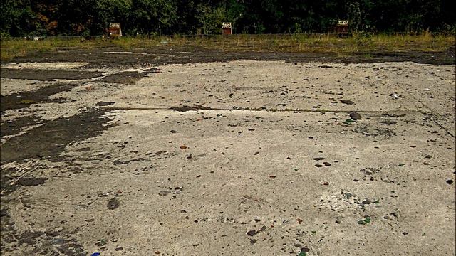 Maxim Kolomiiets: Vinyl Snails YouTube смотреть онлайн