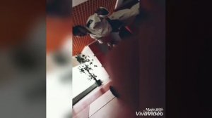 ПОДБОРКА МИЛЫХ ПАР | это эстетично | милота | поцелуй | любовь | парень и девушка | целуются