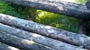 vid0125 СТРОИТЕЛЬСТВО ЭСТАКАДЫ ЛЕСНОЙ КИРОВСКОЙ ОБЛ