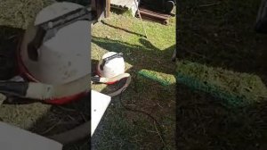 ХИМЧИСТКА пежо 308 своими руками( со снятыми сидениями)