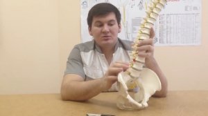 Может ли 'рассосаться' грыжа позвоночника. Can the 'resolve' spinal hernia