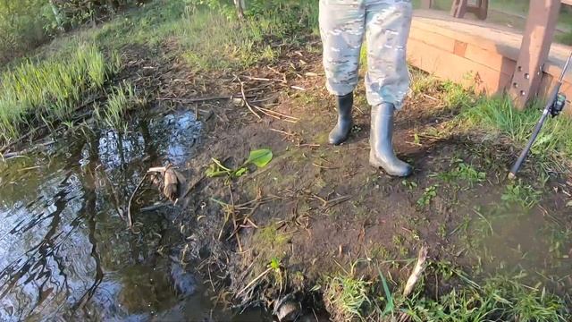 Бешенный клев леща!!! Попали на раздачу леща! Ловля леща весной на поплапоппер. смотреть онлайн