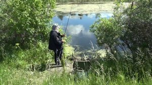 Ротан. Ловля на боковой кивок.