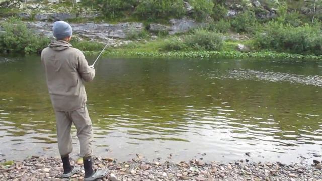 Спиннинг Shimano STC mini tele в работе. Поклёвка крупного хариуса. смотреть онлайн