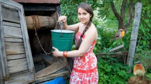 Несе Галя воду  исп Таисия Повалий