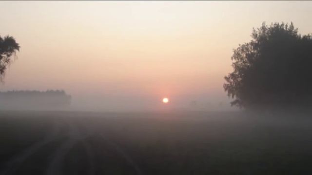 Останусь смотреть онлайн