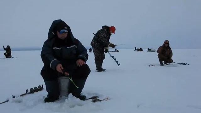 Рыбинское водохранилище: балансиры и окуни смотреть онлайн