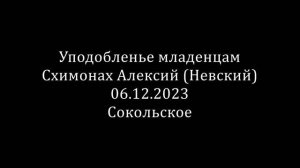 Уподобленье младенцам. Схимонах Алексий (Невский)