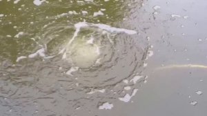 Аэратор для озера, пруда, воды. Комрессор.