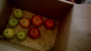 Как правильно, и на долгий срок сохранить яблоки зимой?