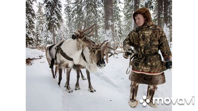 одежда народа ханты смотреть онлайн