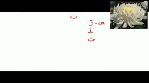 4 буква   Са   арабского алфавита.