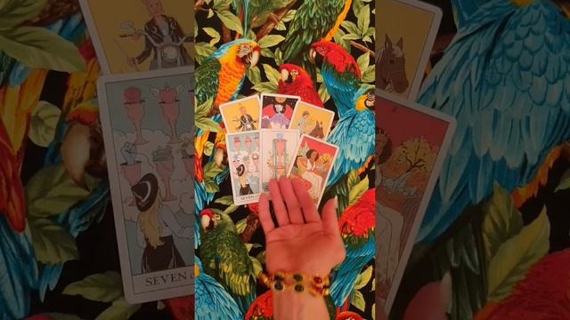 Будет ли продолжение отношений?? 3 варианта  #расклад #таро #гадание #tarot #гаданиеонлайн