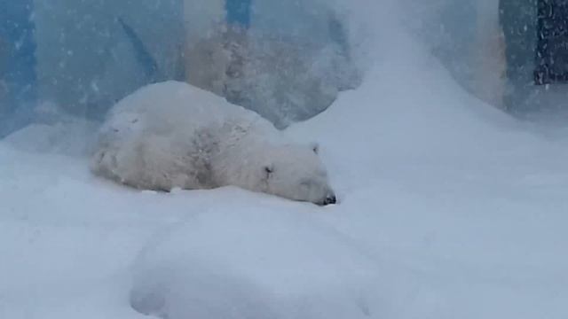 Снежная королева по имени Герда.....The Snow Queen named Gerda... смотреть онлайн