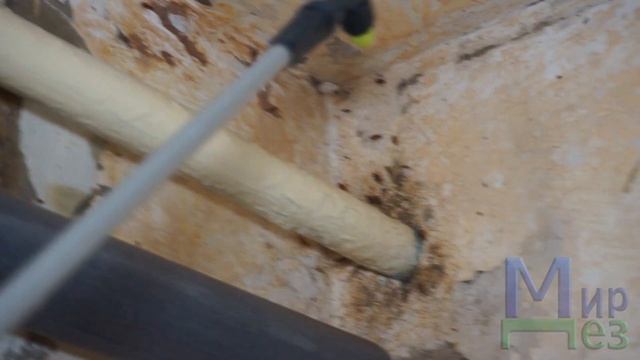 Уничтожаем тараканов в общежитии. МирДез (2022) 1 смотреть онлайн