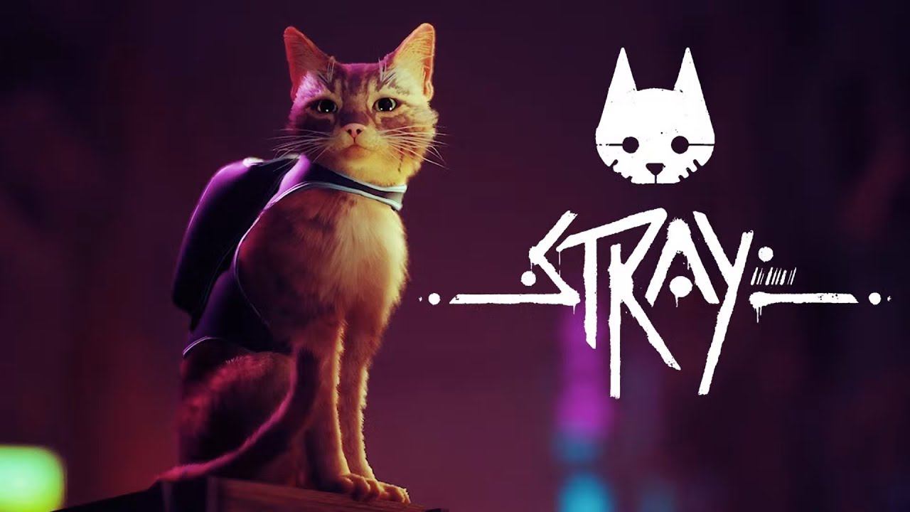 ПЕРВЫЙ ЗАПУСК | Stray [Без Комментариев]