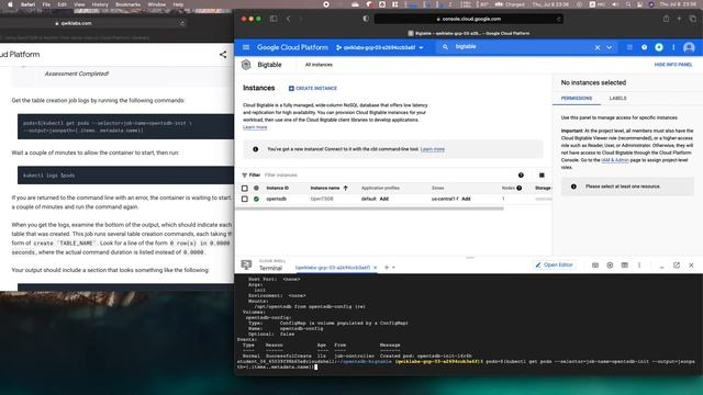 Qwiklabs | Using OpenTSDB to Monitor Time Series Data on Cloud Platform [GSP142]
