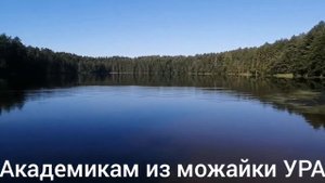 Утро. Тишина. Озеро. Будогощь. 20 августа 2020 г.